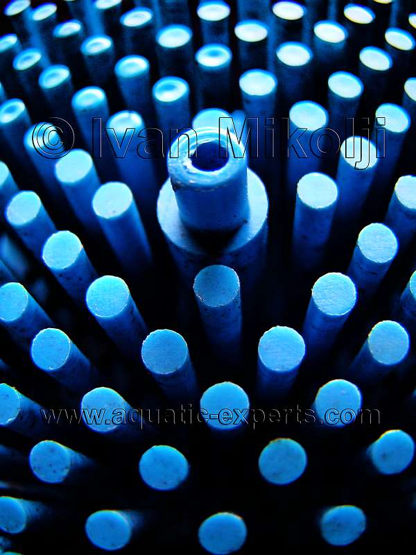 filtrado del agua de la pecera de agua dulce